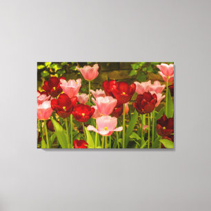 TOILE L'IMPRESSION DE TULIPS DANS UN PARC DE CANVAS