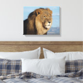 Toile Lion (Insitu(Chambre))