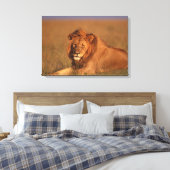 Toile Lion (Insitu(Chambre))