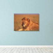 Toile Lion (Insitu (Plancher de Bois))