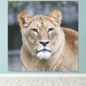 Toile Lion 004 (Insitu (Plancher de Bois))