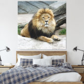 Toile Lion 020 (Insitu(Chambre))