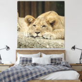 Toile Lion 040 (Insitu(Chambre))