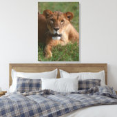 Toile Lion 10 (Insitu(Chambre))