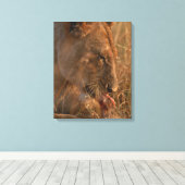 Toile Lion 12 (Insitu (Plancher de Bois))