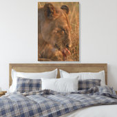Toile Lion 12 (Insitu(Chambre))