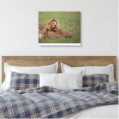 Toile Lion 2 (Insitu(Chambre))