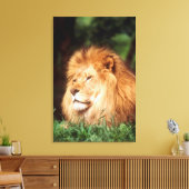 Toile Lion adult (Insitu(Salon))