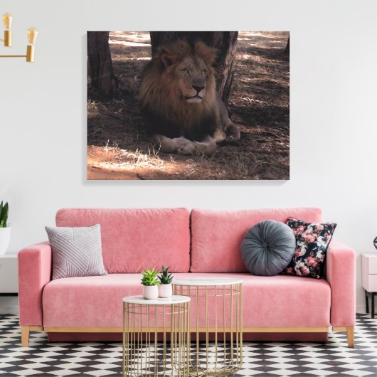 Toile LION AFRICAIN Big Five Cat Photo de la faune (Insitu(Salon))