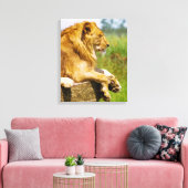 Toile Lion allongé sur un rocher (Insitu(Salon))