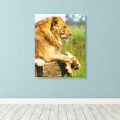 Toile Lion allongé sur un rocher (Insitu (Plancher de Bois))