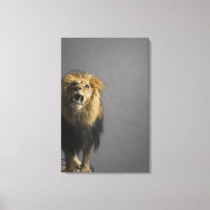 Toile Lion hurlant