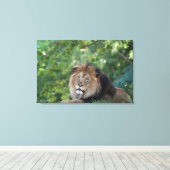 Toile Lion Lounge dans une forêt (Insitu (Plancher de Bois))