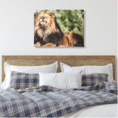 Toile Lion mâle bronzage (Insitu(Chambre))
