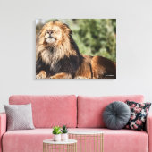 Toile Lion mâle bronzage (Insitu(Salon))