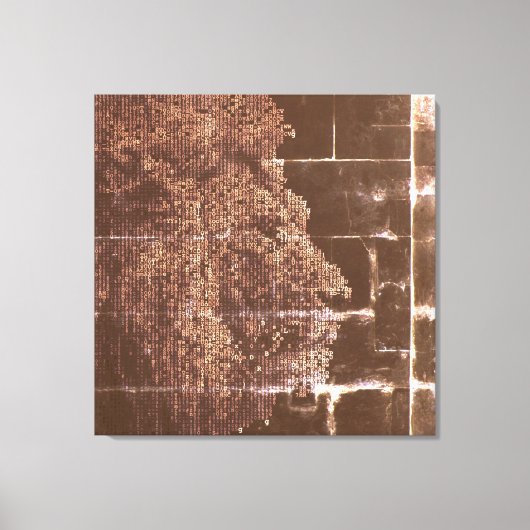 Toile Lion numérique foncé dans la lumière (Recto)