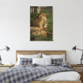 Toile Lion, Panthera leo, Lower Mara, Masai Mara GR, (Insitu(Chambre))