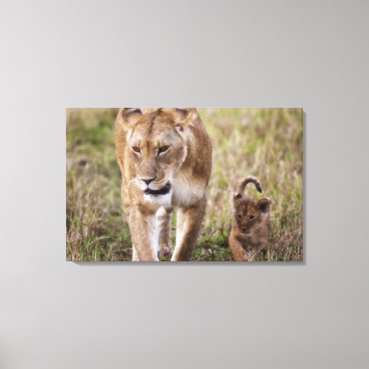 Toile Lionne avec son petit (Recto)