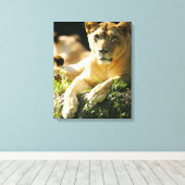 Toile Lions (Insitu (Plancher de Bois))