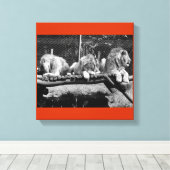 Toile Lions de Nairobi - B&W (Insitu (Plancher de Bois))
