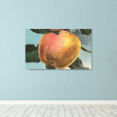Toile Lithographie de Chromo de Fruit blanc Pearmain d'h (Insitu (Plancher de Bois))
