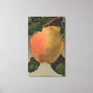 Toile Lithographie de Chromo de fruit de Belleflower