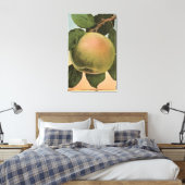 Toile Lithographie de chromo de fruits de Newtown Pippen (Insitu(Chambre))