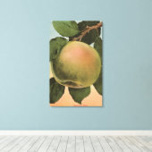 Toile Lithographie de chromo de fruits de Newtown Pippen (Insitu (Plancher de Bois))