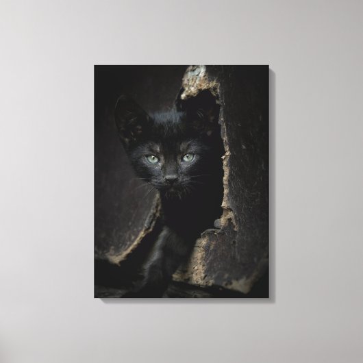 Toile Little Black Kitty (Recto)