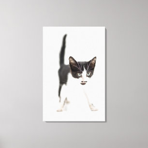 Toile Little Cat