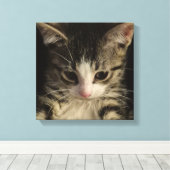 Toile Little kitty (Insitu (Plancher de Bois))