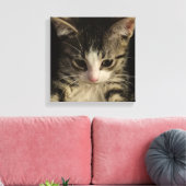 Toile Little kitty (Insitu(Salon))
