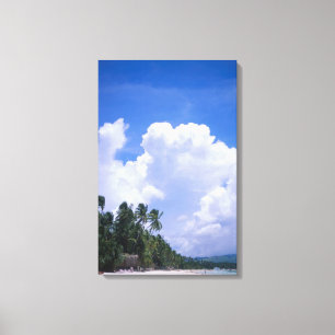 Toile Littoral tropical