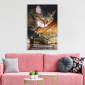 Toile Livre de Kitty endormie (Insitu(Salon))
