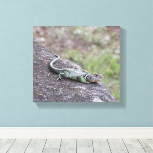 Toile Lizard (Insitu (Plancher de Bois))