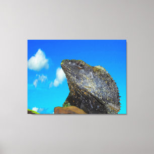 Toile Lizard à cou cassé