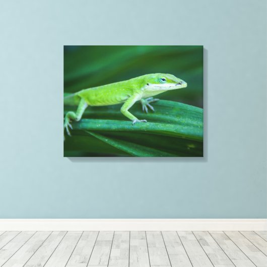 Toile Lizard d'Anole Verte (Insitu (Plancher de Bois))