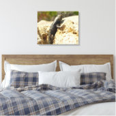 Toile Lizard d'épinette à dos jaune à Joshua Tree (Insitu(Chambre))