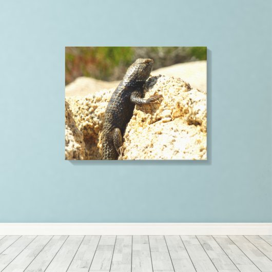 Toile Lizard d'épinette à dos jaune à Joshua Tree (Insitu (Plancher de Bois))