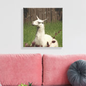 Toile Llama blanche (Insitu(Salon))