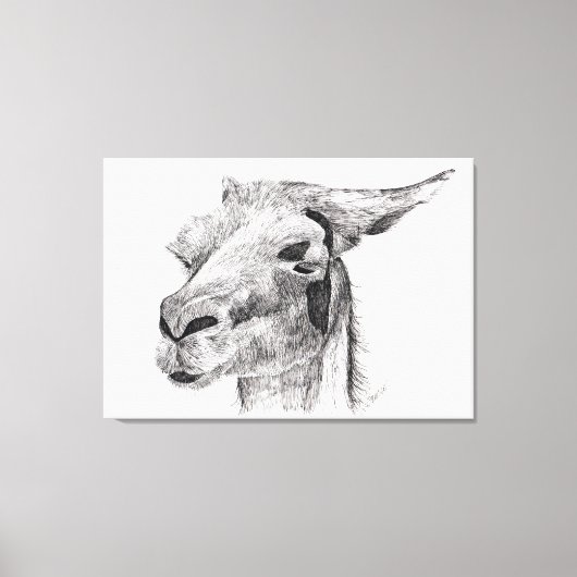 Toile Llama Love (Recto)