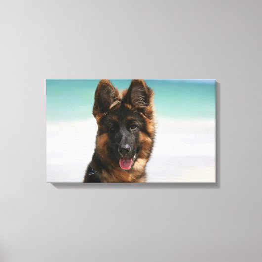 Toile Long Haired German Shepherd Beach (Recto)