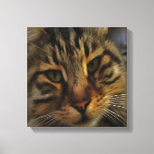 Toile Long Haired Tabby Chat Artistique Portrait d'anima (Recto)
