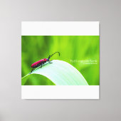 Toile Longicorne rouge et fond vert (Recto)