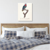 Toile Loriquet à couronne bleue, Vini Australis (Insitu(Chambre))