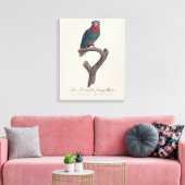 Toile Loriquet à couronne bleue, Vini Australis (Insitu(Salon))