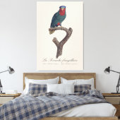 Toile Loriquet à couronne bleue, Vini Australis (Insitu(Chambre))