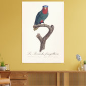 Toile Loriquet à couronne bleue, Vini Australis (Insitu(Salon))