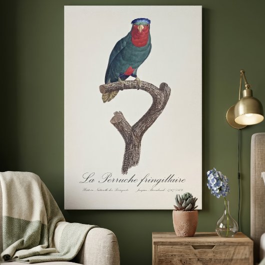 Toile Loriquet à couronne bleue, Vini Australis