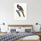 Toile Loriquet arc-en-ciel mâle, Trichoglossus moluccanu (Insitu(Chambre))